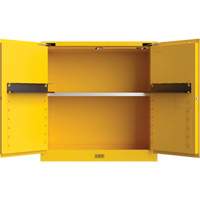 Armoire de s&eacute;curit&eacute; pour produits inflammables Utili-Guard+, 30 gal., 1 Porte(s), 43" La x 44" h x 22" p TGS INDUSTRIEL