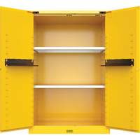 Armoire de s&eacute;curit&eacute; pour produits inflammables Utili-Guard+, 45 gal., 2 Porte(s), 43" La x 65" h x 22" p TGS INDUSTRIEL
