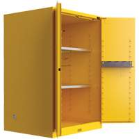 Armoire de s&eacute;curit&eacute; pour produits inflammables Utili-Guard+, 45 gal., 2 Porte(s), 43" La x 65" h x 22" p TGS INDUSTRIEL