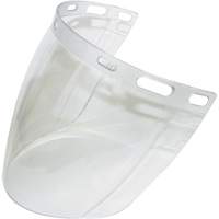 Visi&egrave;re 2CL, Polycarbonate, Teinte Transparent TGS INDUSTRIEL
