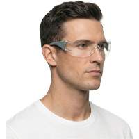 Adapt Lite Grey/Green Safety Glasses, Clear Lens, Anti-Fog/Anti-Scratch, ANSI Z87+/Meets/Exceeds CSA Z94.3 TGS INDUSTRIEL