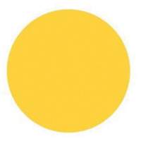 &eacute;tiquettes rondes inscriptibles, Cercle, 1,5" lo x 1,5" la, Jaune TGS INDUSTRIEL