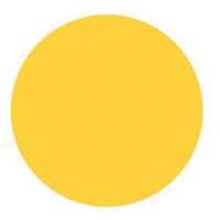 &eacute;tiquettes rondes inscriptibles, Cercle, 3" lo x 3" la, Jaune TGS INDUSTRIEL