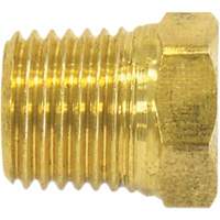 Bouchon de tuyau (t&ecirc;te hexagonale), 1/8" dia., Laiton TGS INDUSTRIEL