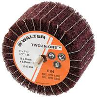 Meule &agrave; lamelles abrasives Two-In-One TGS INDUSTRIEL