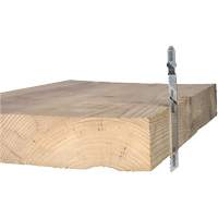 Lame de scie alternative pour la coupe du bois, Acier &agrave; haute teneur en carbone, Tige en T, 4" lo, 10 dents par pouce TGS INDUSTRIEL