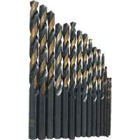 Jobber Length Drill Bit Set, 29 Pieces, High Speed Steel TGS INDUSTRIEL