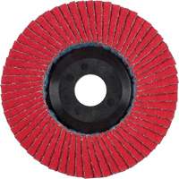 Flap Disc, 4-1/2" x 5/8"-11, Type 27, 40 Grit, Ceramic TGS INDUSTRIEL