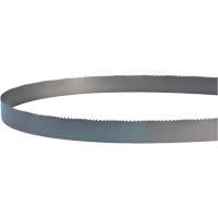 Welded Bandsaw Blade, Bi-Metal, 14' L x 1" W x 4 - 6 TPI TGS INDUSTRIEL