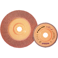 Disque &agrave; lamelles Stainless Enduro-Flex, 4-1/2" x 7/8", Type 27, Grain 40, Alumine de zirconium TGS INDUSTRIEL