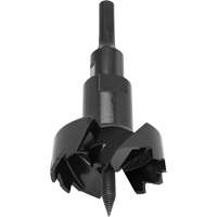 Self-Feed Bit, 4-1/8" TGS INDUSTRIEL