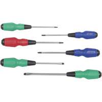 TDSS-6 Jeu de tournevis Torque Drive, 6 mcx, Magn&eacute;tique TGS INDUSTRIEL