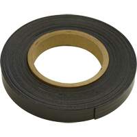 Magnetic Strips, 100' L x 1" W, 1/32" Thickness, Strength of 4 lbs. per Lin. Ft. TGS INDUSTRIEL