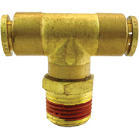 P.T.C. Swivel Male Branch Tees, Brass, 1/8" TGS INDUSTRIEL