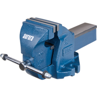 &eacute;tau d'&eacute;tabli robuste, Largeur des m&acirc;choires 5", Profondeur de la gorge 3-3/10" TGS INDUSTRIEL