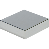 Aimants des terres rares Max-Attach TGS INDUSTRIEL