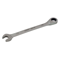 Combination Fixed Head Ratcheting Wrench, 12 Point, 5/16", Stainless Steel Finish TGS INDUSTRIEL