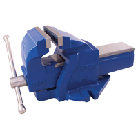 Ductile Iron Mechanics Bench Vise, 4" Jaw Width, 2" Throat Depth TGS INDUSTRIEL