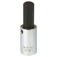 Bit Socket, 10 mm x 2-1/5" L, 3/8" Drive TGS INDUSTRIEL
