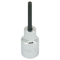 Replacement Bit, 5 mm x 1-1/5" L, 3/8" Drive TGS INDUSTRIEL