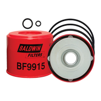 BF9915 &eacute;l&eacute;ment filtrant de type cylindrique TGS INDUSTRIEL