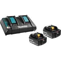 Ensemble de batterie au lithium-ion & chargeur &agrave; double port, 18 V, Lithium-ion TGS INDUSTRIEL