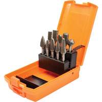 DC Carbide Burr Kit, 10 Pieces TGS INDUSTRIEL