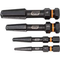 Jeu d'extracteur de vis Bolt Biter, Acier rapide, 4 Morceaux TGS INDUSTRIEL
