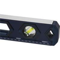 Niveau haute pr&eacute;cision, Boîte, 2' lo, Aluminium, 3, Non magn&eacute;tique TGS INDUSTRIEL