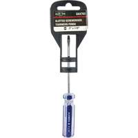 Tournevis &agrave; fente bleu transparent avec bandes , Tige de 1/8", Ronde, Prise en Plastique TGS INDUSTRIEL