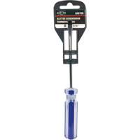 Tournevis &agrave; fente bleu transparent avec bandes, Tige de 3/16", Ronde, Prise en Plastique TGS INDUSTRIEL