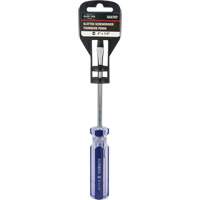 Tournevis &agrave; fente bleu transparent avec bandes, Tige de 1/4", Ronde, Prise en Plastique TGS INDUSTRIEL