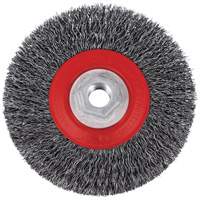 5C14T High Performance Crimped Wire Brush, 5" Dia., 0.014" Fill, 5/8"-11NC Arbor TGS INDUSTRIEL