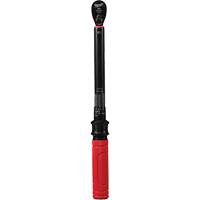 Torque Wrench, Click, 3/8" Square Drive, 20 - 100 in-lbs/27.1 - 135.6 N.m TGS INDUSTRIEL