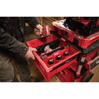 Diviseur pour boîtes &agrave; outils &agrave; tiroirs Packout TGS INDUSTRIEL