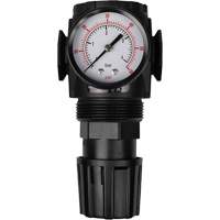 MODULAIR 300 Compressed Air Regulator, 1/2" NPT, 300 psi Max. PSI, In Line/Modular TGS INDUSTRIEL