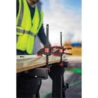 Medium Trigger Clamps Set, 12" (304.8 mm) TGS INDUSTRIEL