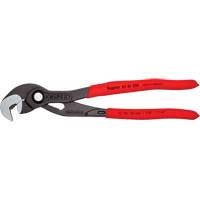 Pince Raptor, 10" TGS INDUSTRIEL