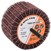 Meule &agrave; lamelles abrasives Two-In-One TGS INDUSTRIEL