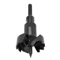 Standard Self-Feed Drill Bit, 3-5/8", 6" Length, 7/16" Hex Shank TGS INDUSTRIEL