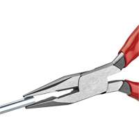 Long Nose Pliers with Cutter, 5" L TGS INDUSTRIEL