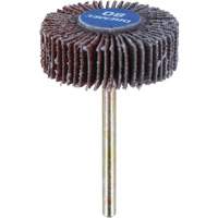 3/8" Flapwheel Sanding Bit - 80 Grit TGS INDUSTRIEL