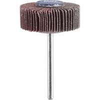 3/8" Flapwheel Sanding Bit - 120 Grit TGS INDUSTRIEL