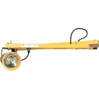 Dock Lights, 60" Arm, Incandescent Lamp, Polycarbonate TGS INDUSTRIEL