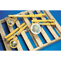 Dock Lights, 60" Arm, Incandescent Lamp, Metal TGS INDUSTRIEL