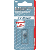 Replacement Bulb for Rechargeable Flashlight TGS INDUSTRIEL