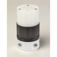 Grounding Straight Blade Connector, 5-15R, Nylon TGS INDUSTRIEL