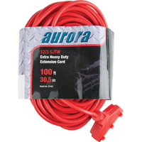 Vinyl Extension Cord, Outdoor, SJTW, 12/3 AWG, 15 A, 3 Outlet(s), 100' TGS INDUSTRIEL