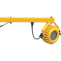 Heavy-Duty Loading Dock Lights, 40" Arm, 300 W, LED Lamp, Metal TGS INDUSTRIEL