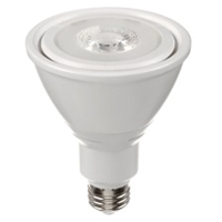 Ampoule DEL, PAR30, 10 W, 800 lumens, base Moyen TGS INDUSTRIEL